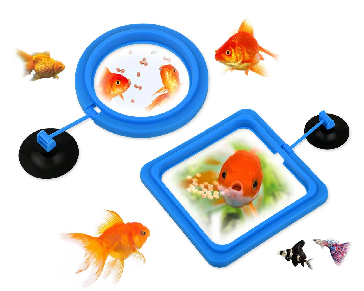 Fish Feeding Ring 2 Pieces Floating Food Feeders for Aquarium and Fish Tank