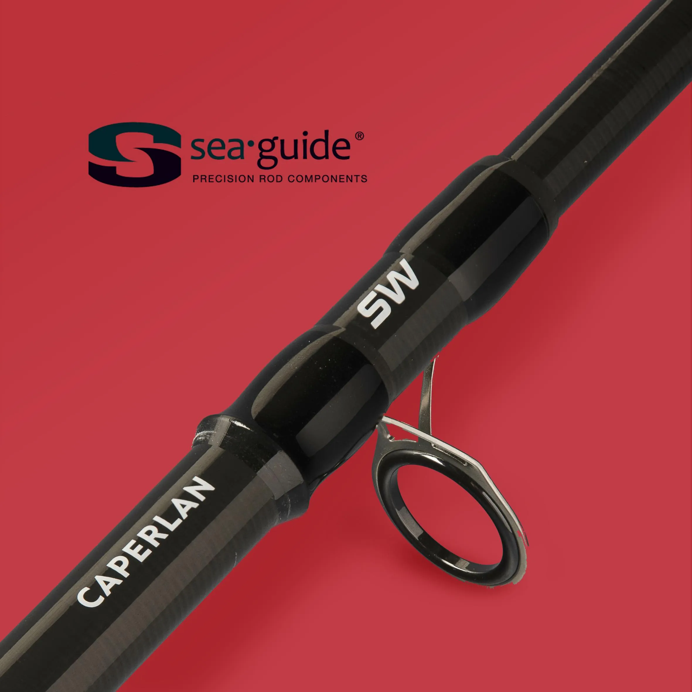 Fishing rod WXM-5 200M CASTING CAPERLAN, black/gray zinc