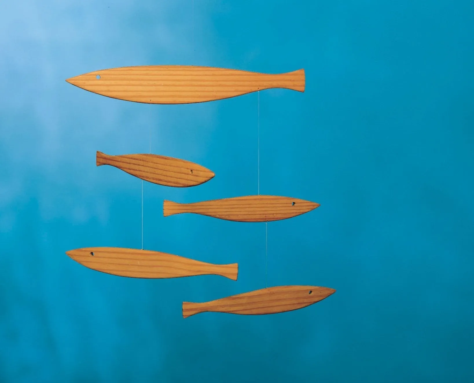 Floating Fish