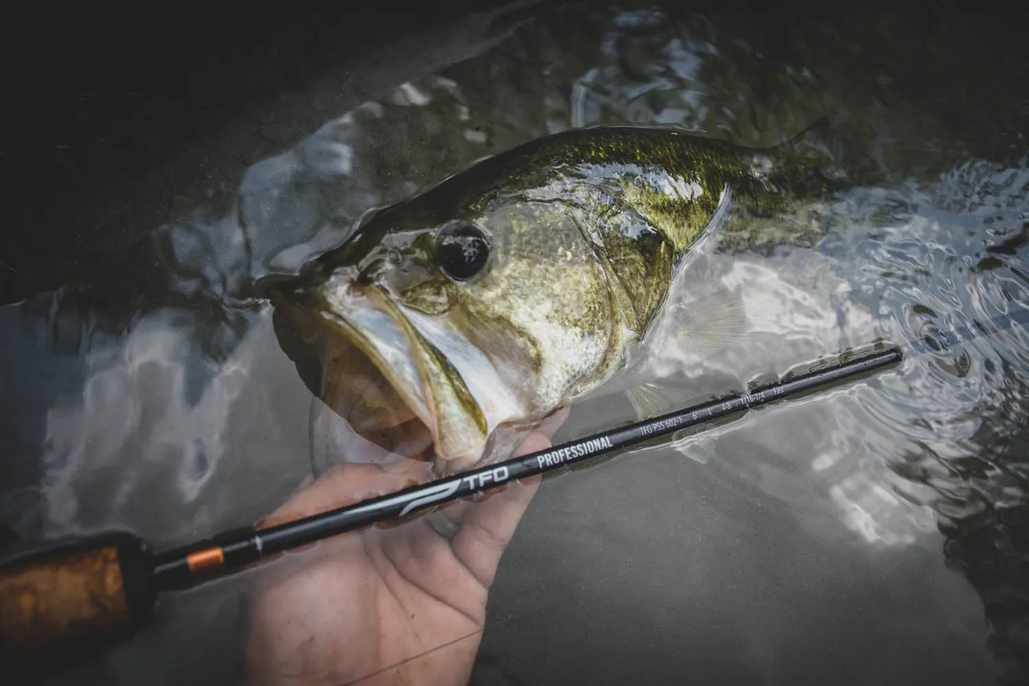 Temple Fork Outfitters Professional Baitcasting Rods